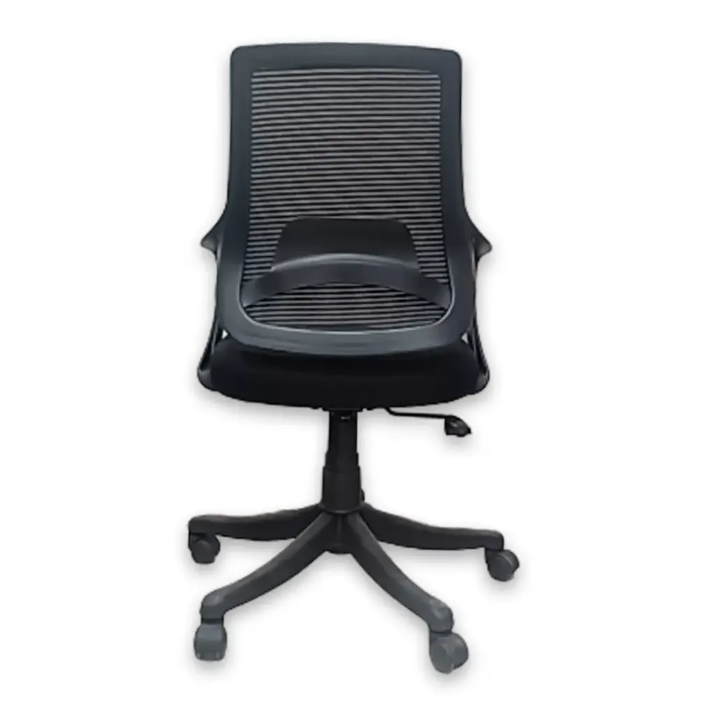 MESH CHAIR BACK VIEW