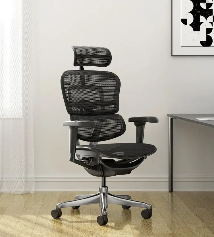 Ultra Breathable Mesh Ergonomic Chair with Headrest & Seat Glider 