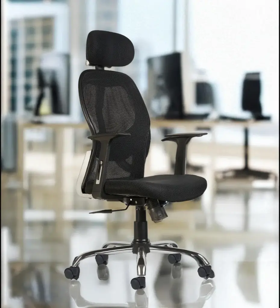 ErgoSupreme  FlexiComfort  Chair in Black Colour