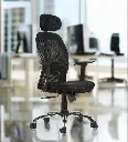 ErgoSupreme  FlexiComfort  Chair in Black Colour