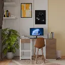 Engineered Wood Study Table Brown Maple & Frosty Finish