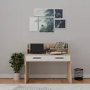 Brain Bench study table