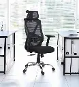 FlexiSeat ErgoMaster Chair With Headrest In Black Colour