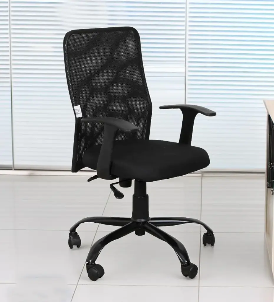 FlexiComfort ErgoPro Chair in Black Colour