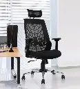 EliteErgo LumbarLux Chair in Black Colour with Headrest