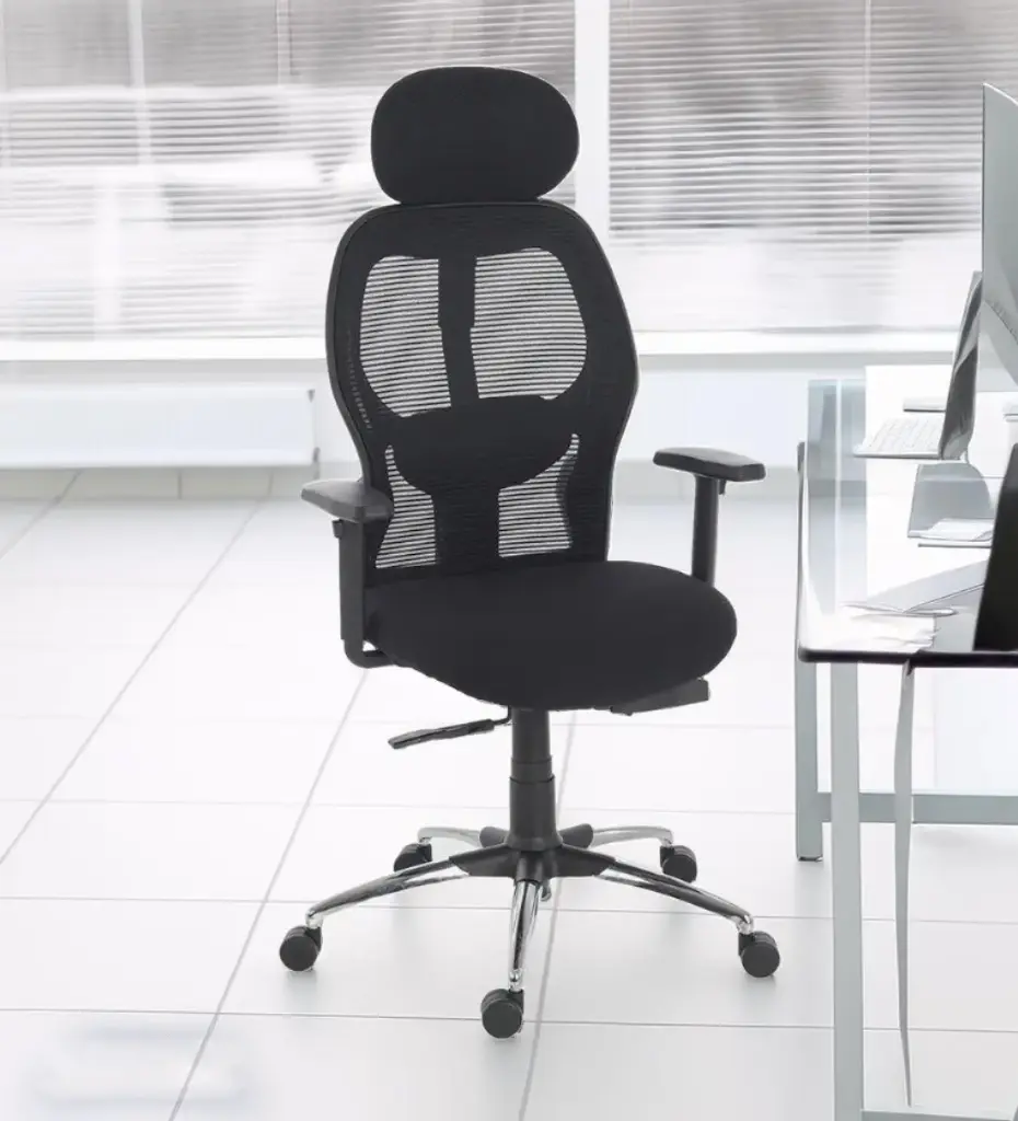 ProErgo FlexiErgo Chair in Black Colour with headrest