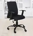 ErgoElite OptiSupport Chair in Black Colour