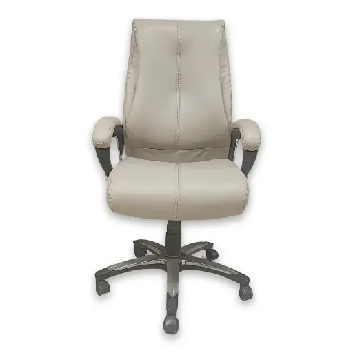 [AI-MC3-25] BOSS CHAIR SERIES