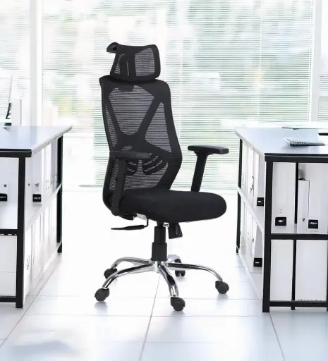 FlexiSeat ErgoMaster Chair With Headrest In Black Colour