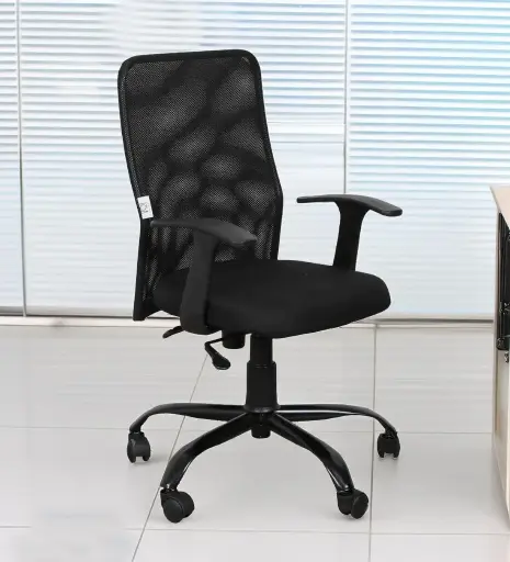 FlexiComfort ErgoPro Chair in Black Colour