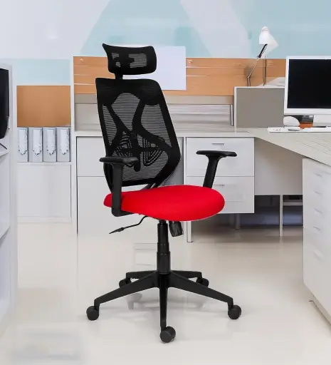ProPosture ErgoSupreme Chair With Headrest In dual Colour