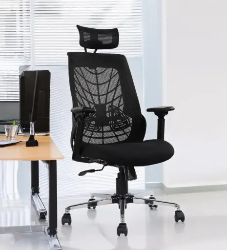 EliteErgo LumbarLux Chair in Black Colour with Headrest