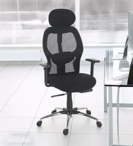 ProErgo FlexiErgo Chair in Black Colour with headrest